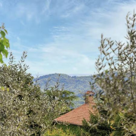 Elegante Appartamento Con Vista - Colli Euganei Teolo Exterior foto